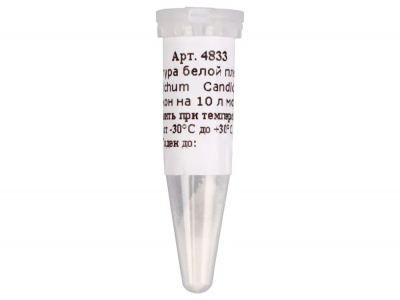 4833-1